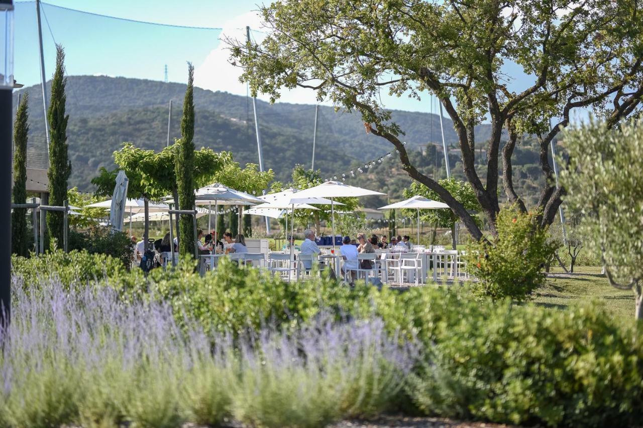 Clos Des Oliviers Grimaud - Meuble De Tourisme Ngoại thất bức ảnh